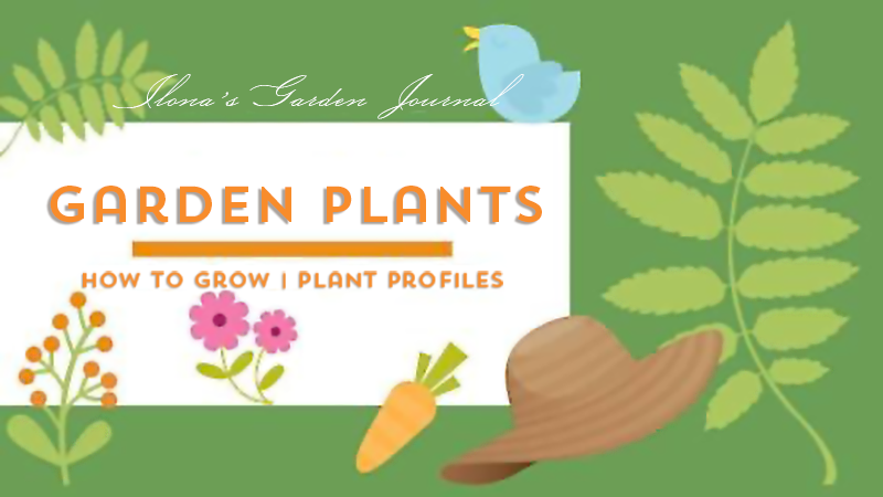 garden plant profile
