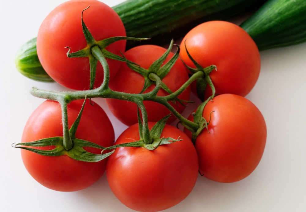 tomatoes