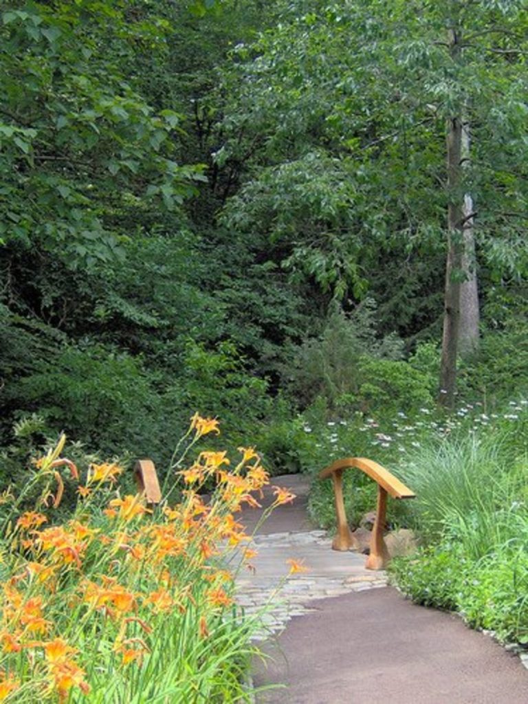 Daylily Accents