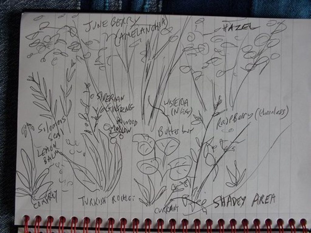 notebook sketch by London Permaculture