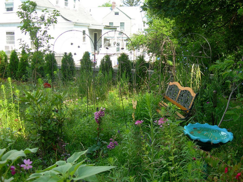 garden