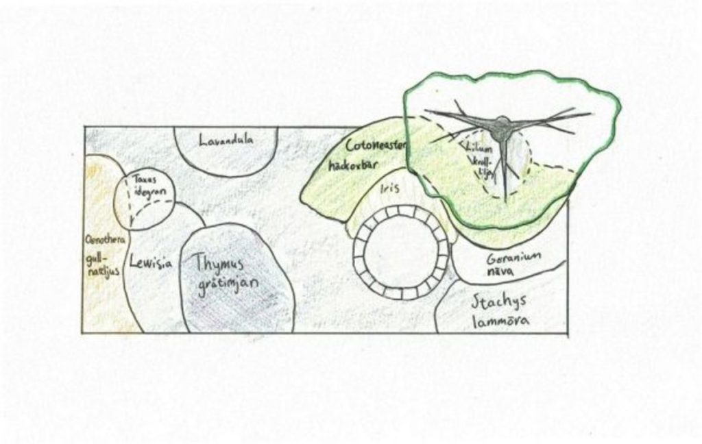 Note where you planted those bulbs, the daylilies, or where you plan to put the new tree.