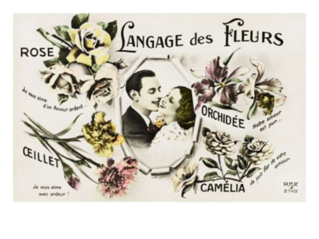 Vintage flowers