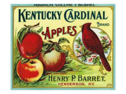 "We make apple desserts and sauce, cook them with meat and poultry, and eat them fresh. And nothing is as American as apple pie!"