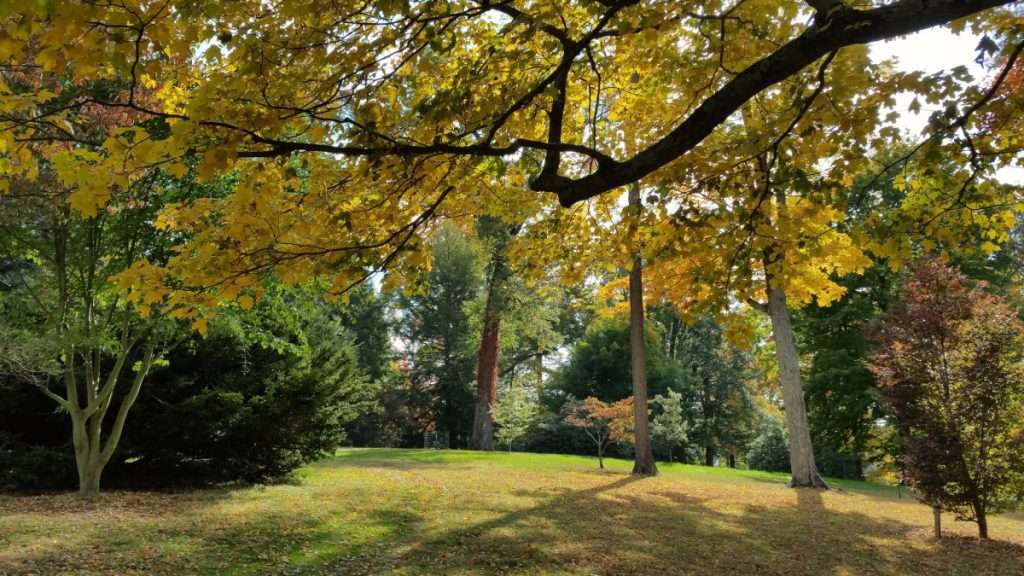 Dawes Arboretum