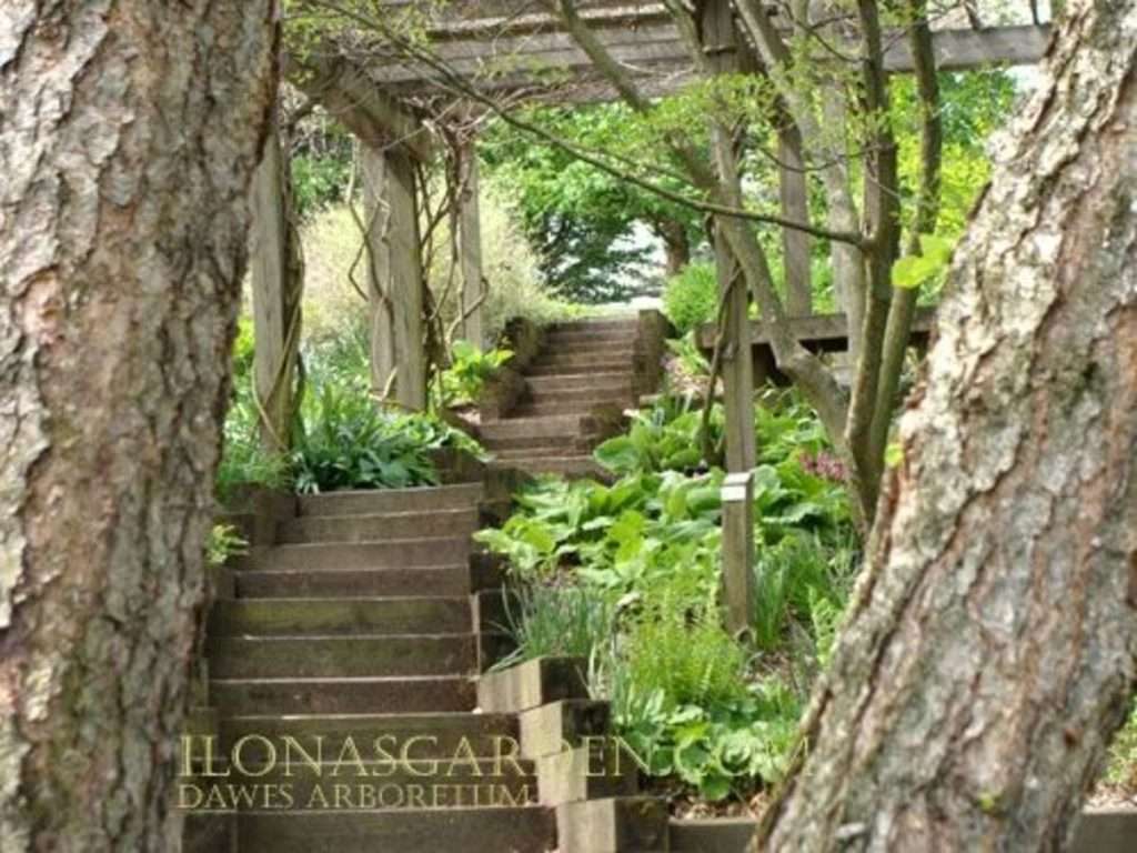 Dawes Arboretum