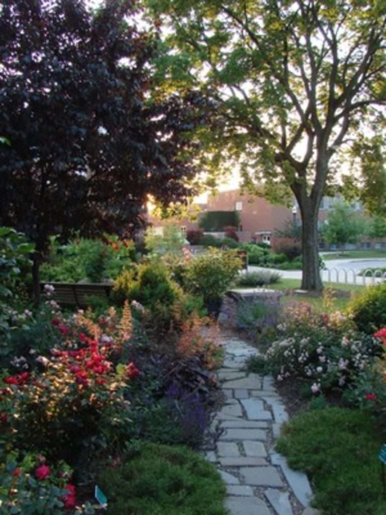 Chadwick Arboretum