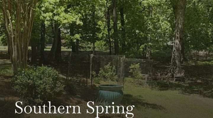 substack southern spring post